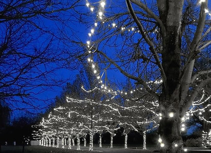 Novelty Lights 50ft 100 LED Pure White Christmas Lights Outdoor/Indoor, 6" Spacing, Green Wire String Lights for Festive Xmas Lighting, IP55, UL Listed, Dimmable, Connectable