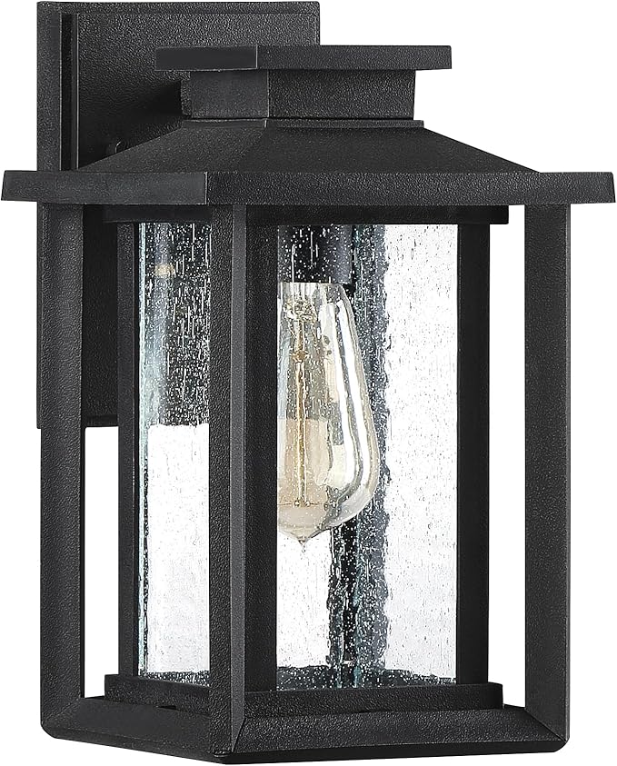 Quoizel Wakefield Vintage Wall Sconce, Coastal Armour 11 Inch 1-Light Earth Black Wall Lantern, Clear Seedy Glass Light Fixtures, 100W Medium Base Bulb, Outside Lights for Patio, Porch or Garage