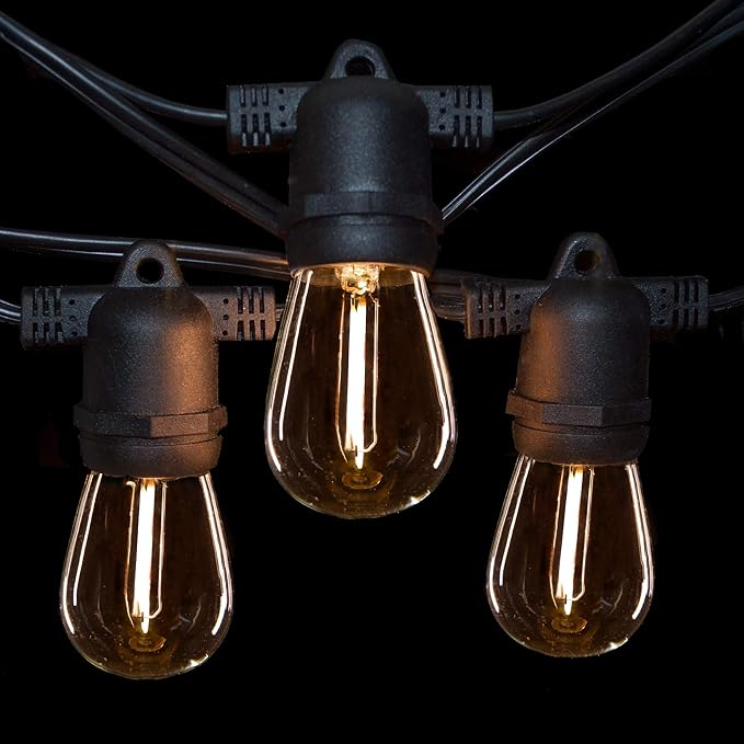 Hometown Evolution, Inc. 100' E26 Commercial LED Outdoor String Lights (100 Foot 50 Socket, S14 LED Filament 1 Watt | Lumora