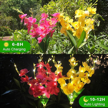 Solar Flower Lights, 2 Pack Solar Flowers with Purple & Yellow Orchids, Solar Outdoor Lights, Waterproof Solar Garden Lights for Yard, Patio, Pathway, Lawn, Flowerbed, Grave, Cemetery Decor