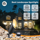 Gardenreet Brass Landscape Lighting - Black Low Voltage Outdoor Spotlights, Wired LED Uplights 12V, Waterproof Spot | Lumora