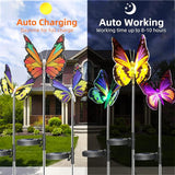 Outdoor Solar Garden Lights,3 Pack Butterfly Decorative-Waterproof Color Changing LED Outdoor Lights,Solar Powered | Lumora