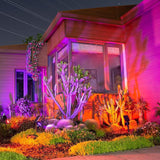 ROSHWEY Solar Spot Lights Outdoor, Colored Solar Outdoor Lights Waterproof Christmas Solar Powered Spotlight | Lumora