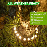 Solar Palm Tree Ring Lights Outdoor, 3-in-1 Tie/Stake/Hang Installation, Warm White 50Lumen LED Tree Uplighting | Lumora