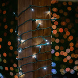 Novelty Lights 25ft 50 LED Pure White Christmas Lights Outdoor/Indoor, 6" Spacing, Green Wire String Lights for | Lumora