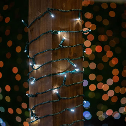 Novelty Lights 24-Pack, 25 Feet 50 LED Pure White Christmas Mini Light String on Green Wire, 5mm Wide Angle Bulbs, Connectable, Indoor/Outdoor Decor, UL Listed