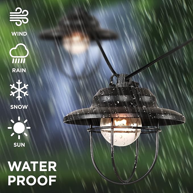 JONATHAN Y Indoor Outdoor Rustic Farmhouse LED G40 Metal Cage Shade String Lights Garden Patio Backyard Porch Balcony, 10 ft. 10-Light, Black