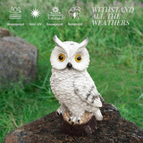 Solar Owl Garden Statues Outdoor Decor Resin Owl Figurine with LED Lights Owl Sculpture for Porch Patio Lawn Yard | Lumora