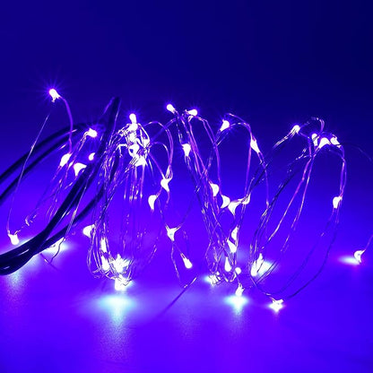 Karlling USB Plug in LED Fairy Lights,2 Packs of 50 LED Bulbs 16 Ft Silver Wire Waterproof Starry String Lights for Bedroom Patio Garden Party Wedding Commercial Lighting (Purple)