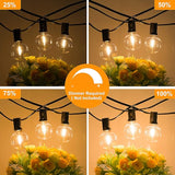 Bosceos 80FT Outdoor G40 LED Globe String Lights Dimmable Waterproof Shatterproof Light Strings with 40 Bulbs | Lumora