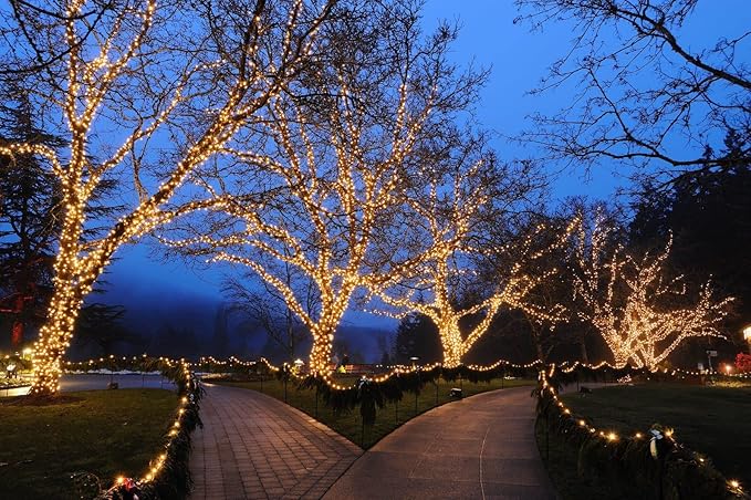 Novelty Lights 24FT 70 LED C6 Christmas String Lights, Outdoor Tree Commercial Grade LED Lights, Permanent | Lumora