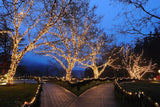 Novelty Lights 24FT 70 LED C6 Christmas String Lights, Outdoor Tree Commercial Grade LED Lights, Permanent | Lumora