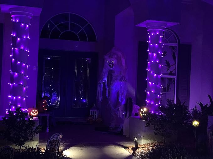 kemooie 500 LED Purple Christmas Lights, 164 FT 8 Lighting Mode Plug in Waterproof Christmas Lights Outdoor, for Birthday Christmas Wedding Party Garden Balcony Decor (Purple)