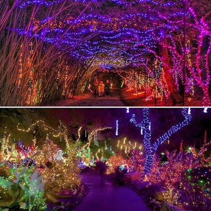 Albelt Smart Color Changing Christmas Lights, Christmas Decoration Lights with Remote & Timer, 66 FT 200 LED RGB Twinkle Fairy String Light Waterproof for Indoor Outdoor Valentines Xmas Tree Decor