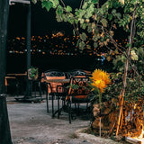 Solar Chrysanthemum Garden Lights 3-Head Yellow Solar Pathway Lamps with Ground Stake for Outdoor Lawn Patio | Lumora