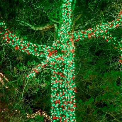 75.8 FT 200 LED Red and Green Christmas Lights Indoor Outdoor, Timer & Memory Function & 8 Modes, Extendable Green Wire, Waterproof Fairy Twinkle String Light for Xmas Tree Holiday Party Garden Yard