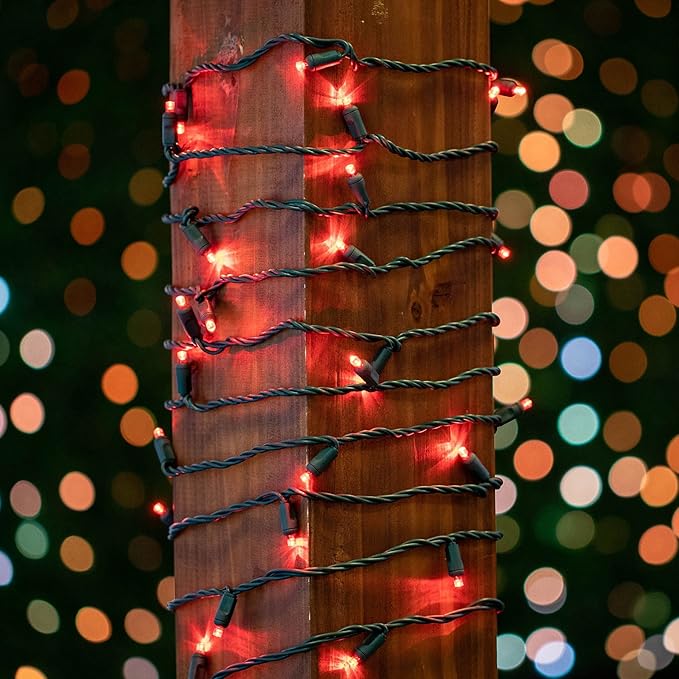 Novelty Lights 25 Feet 50 LED True Twinkle Red Outdoor Christmas String, 100% Twinkle 5mm LED Lights on Green Wire | Lumora
