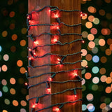 Novelty Lights 25 Feet 50 LED True Twinkle Red Outdoor Christmas String, 100% Twinkle 5mm LED Lights on Green Wire | Lumora