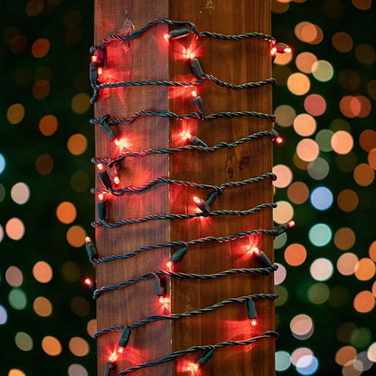 Novelty Lights 25 Feet 50 LED True Twinkle Red Outdoor Christmas String, 100% Twinkle 5mm LED Lights on Green Wire, Commercial Grade UL Listed, Connectable End to End