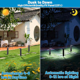 Sunvivo Solar Pathway Lights,2 Modes(Cold White/Warm White),Bright Solar Path Lights Outdoor Waterproof,Perfect | Lumora