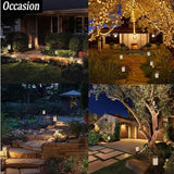 Desert Camel Outdoor Solar Lights for Home Solar Garden Lights Waterproof Solar-Powered Fairy Lights for | Lumora