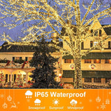 100FT 300 LED Christmas Lights Outdoor, Warm White Christmas Tree Lights with 8 Modes Waterproof, Connectable Green | Lumora