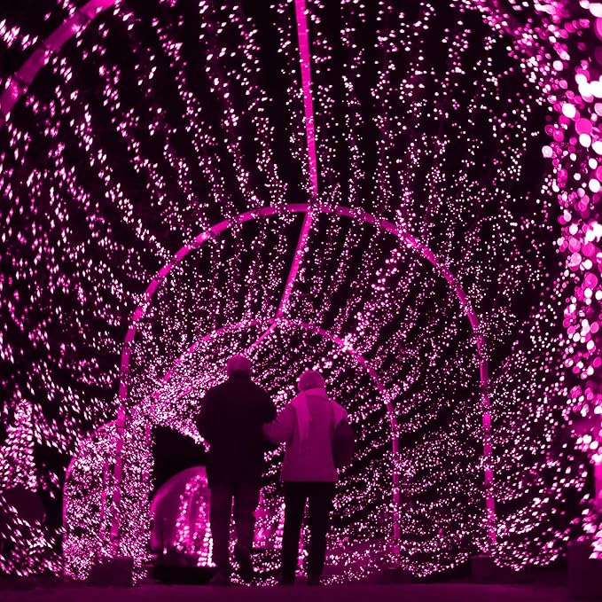 kemooie 300 LED Pink Valentine's Day Lights, 99 FT Connectable 8 Twinkle Modes String Lights with Memory Function, Waterproof Fairy Light for Outdoor Indoor Wedding Party Valentine's Day Decoration
