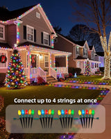 Christmas Pathway Lights Outdoor, 25.7 Feet C9 Lights with 20 Multicolor Bulbs and Stakes, Connectable Outdoor | Lumora