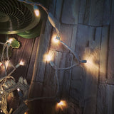 Christmas Lights 50 LED 17FT Commercial Mini LED String Lights, 120V UL, White Wire Xmas Lights for Indoor & | Lumora