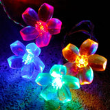 Hometown Evolution, Inc. Solar Powered Peach Blossom String Lights - 30 LED Multi Colored, 8 Modes, Outdoor | Lumora