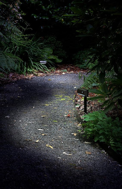 LIGHT IT! By Fulcrum, 20033-107 LED Garden and Path Light, Bronze, Single pack