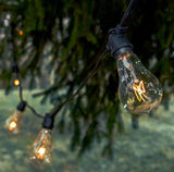 Hometown Evolution, Inc. Commercial Grade Vintage Edison Outdoor String Lights (PS50 Clear - Commercial White Wire | Lumora