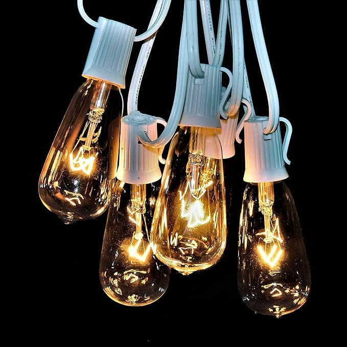 Hometown Evolution, Inc. Vintage Edison Outdoor String Lights (ST40 Clear - White Wire, 100 ft) | Lumora