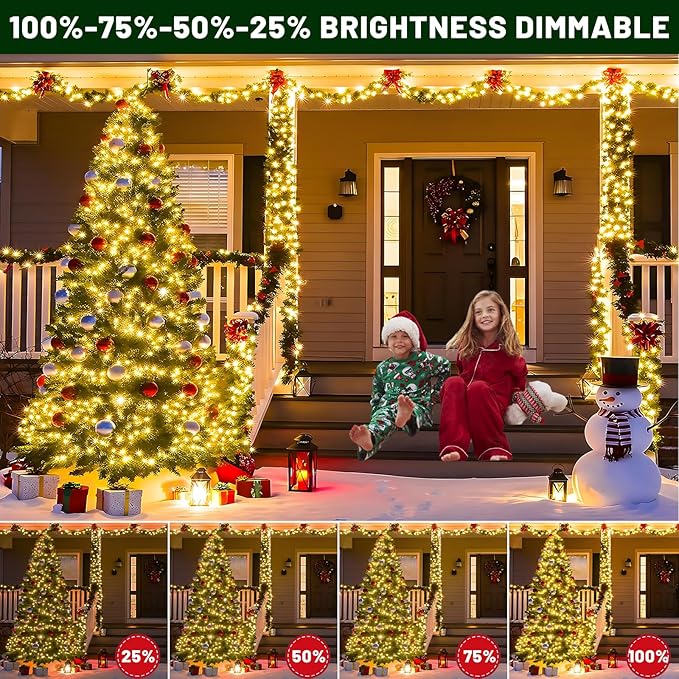100FT 300 LED Color Changing Christmas Lights, Warm White & Multicolor Christmas Tree Lights with Remote | Lumora