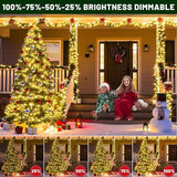 100FT 300 LED Color Changing Christmas Lights, Warm White & Multicolor Christmas Tree Lights with Remote | Lumora