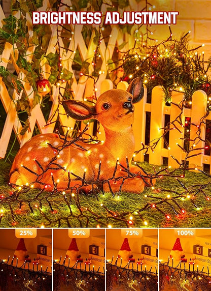 Christmas Cluster Lights Outdoor - 2000LED 100Ft Bright 8 Modes Timer Remote, Waterproof Plug-in Fairy String for Tree, Garland, Window, Xmas Decorations, Red & Warm White