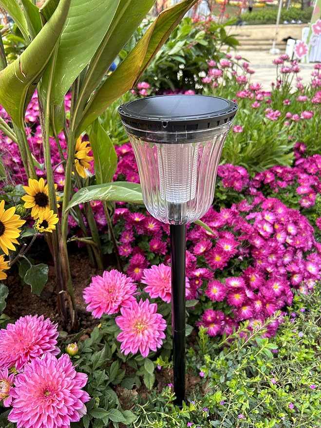 Bright Solar Pathway Light 1 Pack,High Lumen 2-in-1 Cool and Warm,Solar Yard Lights Outdoor Waterproof IP65, Auto On/Off Solar Powered Outdoor Lights for Patio,Walkway