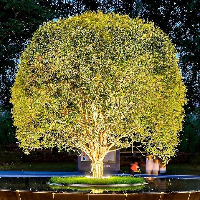 Outdoor Ring Tree Light - AC 24V Colored LED IP65 Waterproof Palm Tree Uplighting with Adjustable Tree Rings, Expandable Interlocking LED Uplighting or Downlight for Trees/Roman Columns(For expanding)