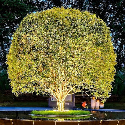 Outdoor Ring Tree Light - AC 24V Colored LED IP65 Waterproof Palm Tree Uplighting with Adjustable Tree Rings, Expandable Interlocking LED Uplighting or Downlight for Trees/Roman Columns(For expanding)