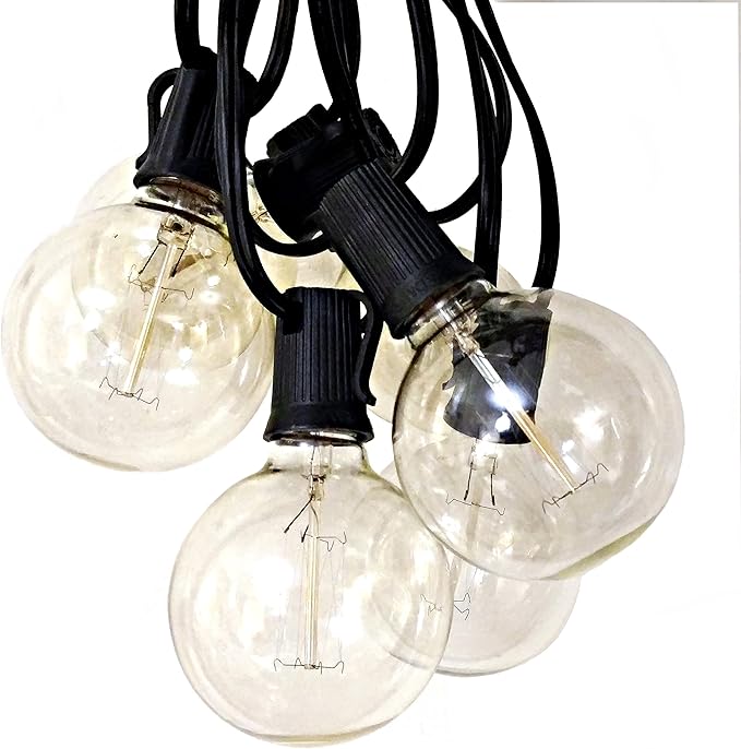Hometown Evolution, Inc. Edison Bulb Outdoor String Lights with Hand-Threaded Filament (G60 Lantern Edison - Black Wire, 10 ft)