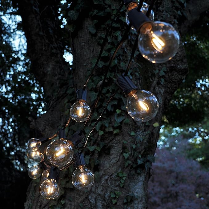 Hometown Evolution, Inc. G50 2" LED Filament Outdoor Patio String Lights with 0.6 Watt Light Bulbs (G50 LED - Black | Lumora