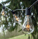 Hometown Evolution, Inc. Vintage Edison Outdoor String Lights (PS50 Clear - Black Wire, 10 ft) | Lumora