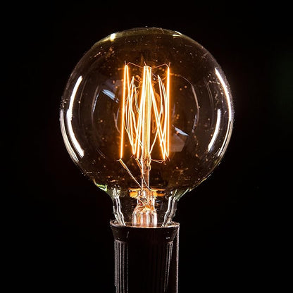 Hometown Evolution, Inc. Edison Bulb Outdoor String Lights with Hand-Threaded Filament (G60 Lantern Edison - Black Wire, 10 ft)