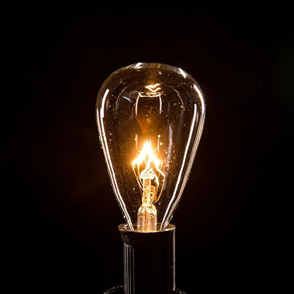 Hometown Evolution, Inc. Vintage Outdoor Patio String Lights with ST11 Clear Light Bulbs (Black Wire, 100 ft)