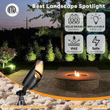 Gardenreet Brass Landscape Lighting Black, Low Voltage Spotlights Outdoor, 12V LED Wired Uplights, Waterproof Spot | Lumora