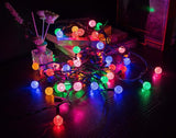 LAMPHOME 50 LED G20 String Light in 12.8ft,Indoor Outdoor Fairy String Light for Christmas,Party,Home,Patio | Lumora