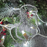 Christmas Lights 50 LED 17FT Commercial Mini LED String Lights, 120V UL, White Wire Xmas Lights for Indoor & | Lumora