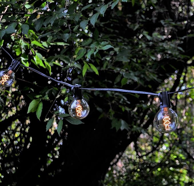 Hometown Evolution, Inc. Edison Bulb Outdoor String Lights with Hand-Threaded Filament (G50 Spiral Edison - Black Wire, 10 ft)
