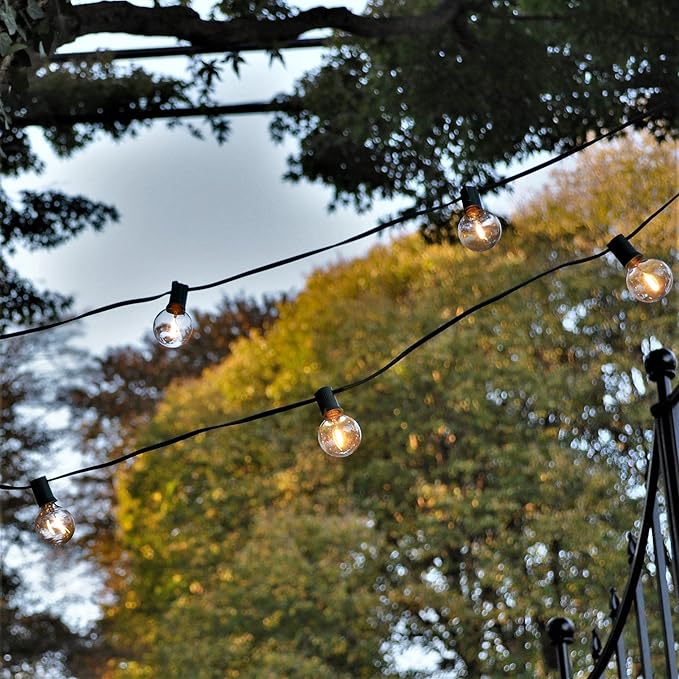 Hometown Evolution, Inc. G40 LED Warm White Outdoor Patio String Lights with 0.6 Watt Bulbs (G40 LED Filament - Black Wire, 100 ft)