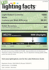 LIT-PaTH Outdoor LED Wall Lantern, White Large Exterior Wall Light Fixture, 5000K Daylight White, 11W 1000 Lumen | Lumora